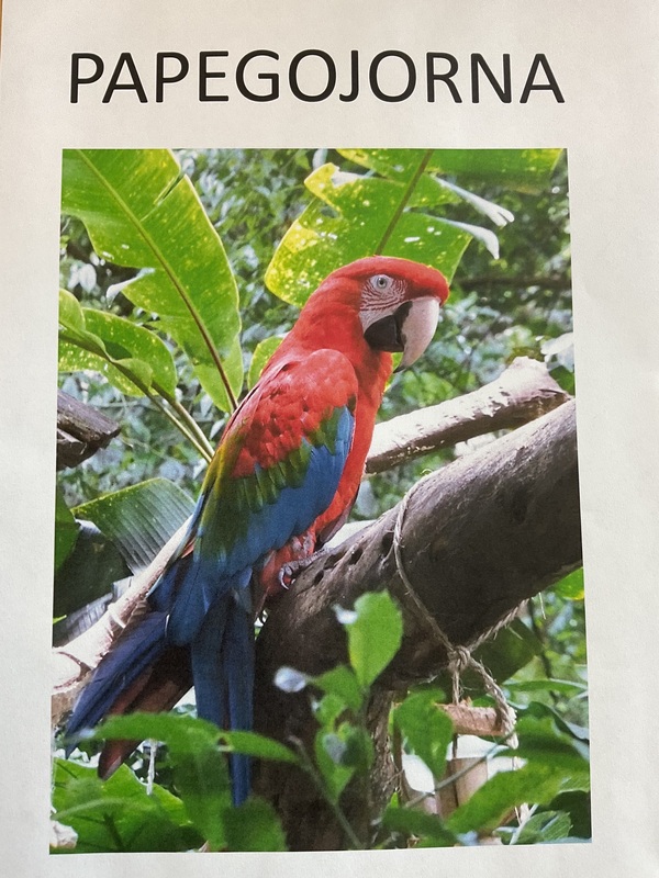 IMG_0002.jpeg
