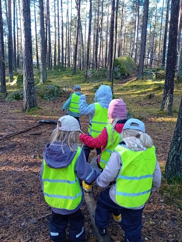 Andra skogsmullebesöket 🌲