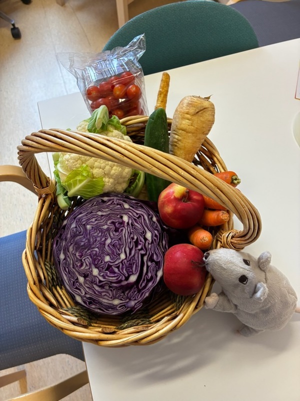 Skördepaket 🥒🍅🥕