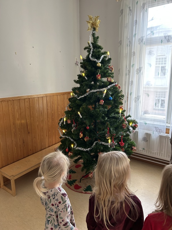 IMG_0550.jpeg