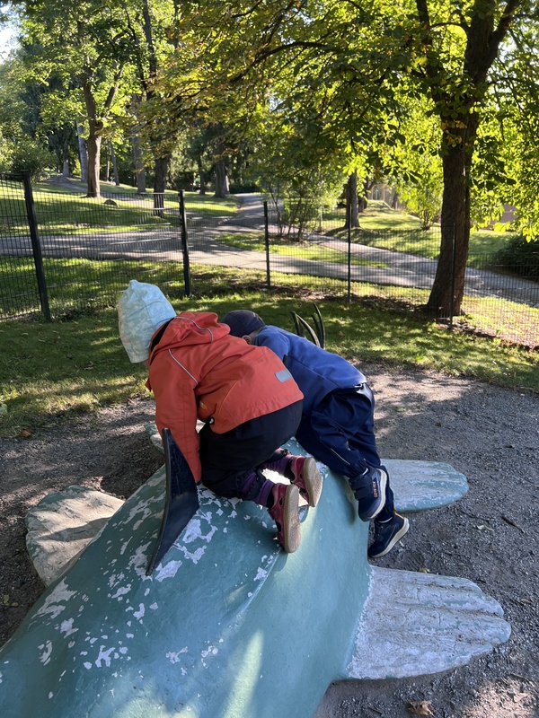 IMG_3950.jpeg