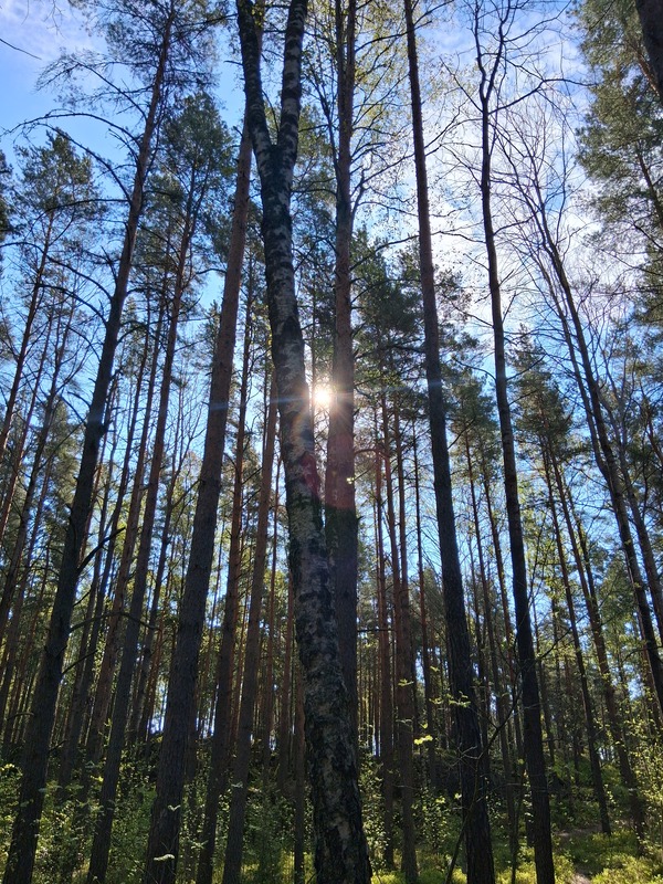 20260511_094645.jpg