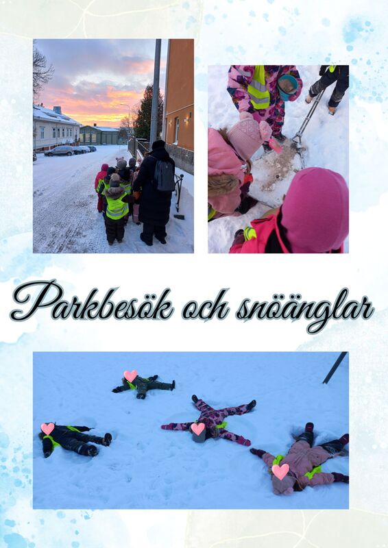 PedaNet v02 1.jpg