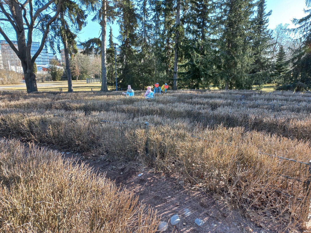 20250319_095203.JPG