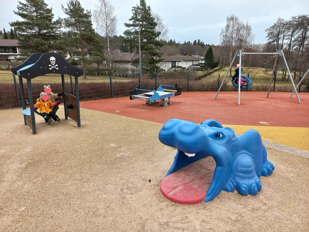 20250312_094026.JPG