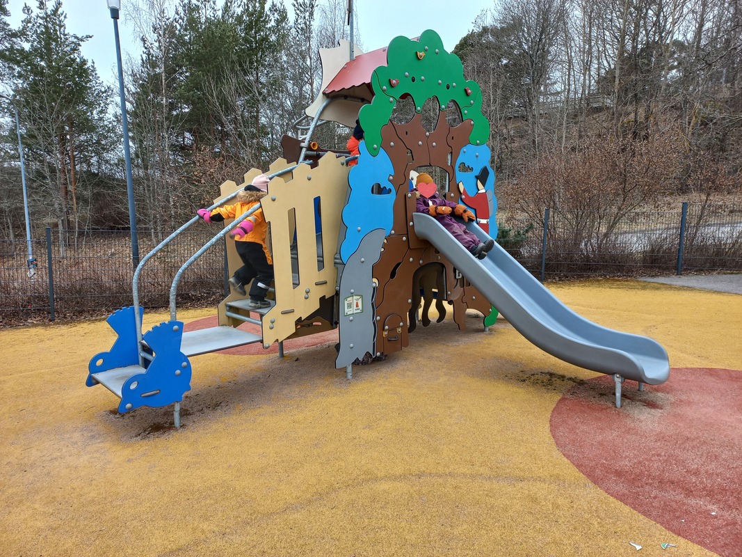 20250312_094933.JPG