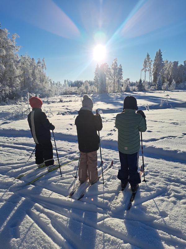 Helmikuun hanget