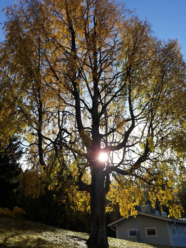 Hyvää syyslomaa! Toivottaa Höytiän koulun väki