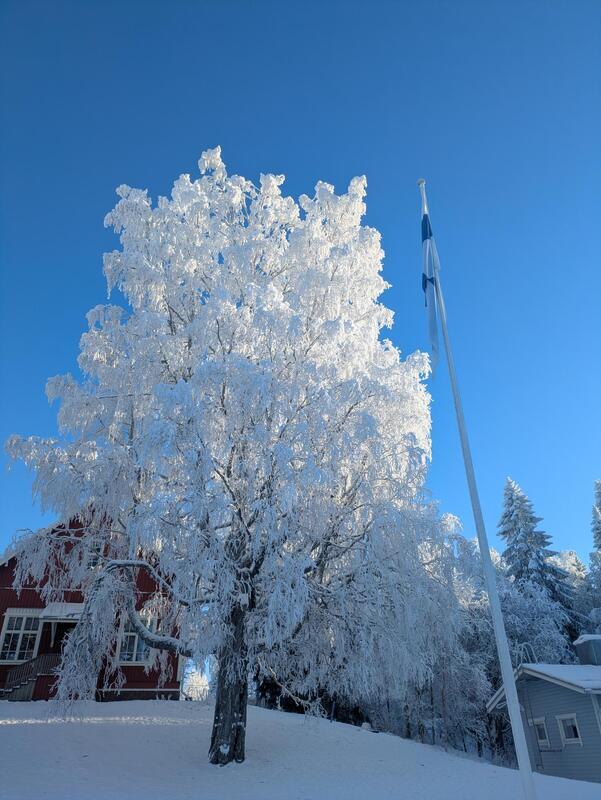 Juuri Runebergin päivänä luonto näyttää kauneutensa 💙🇫🇮