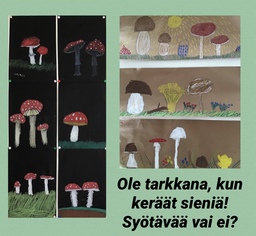 5A
