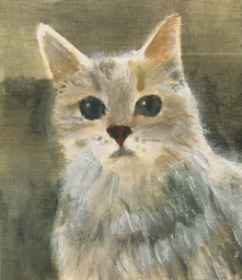 Myrsky-kissa