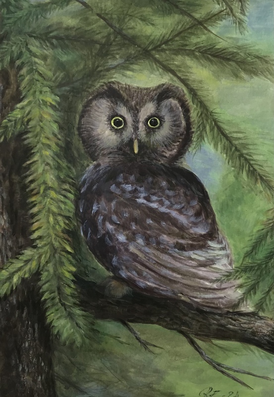 Pöllö, 21 x 30 cm