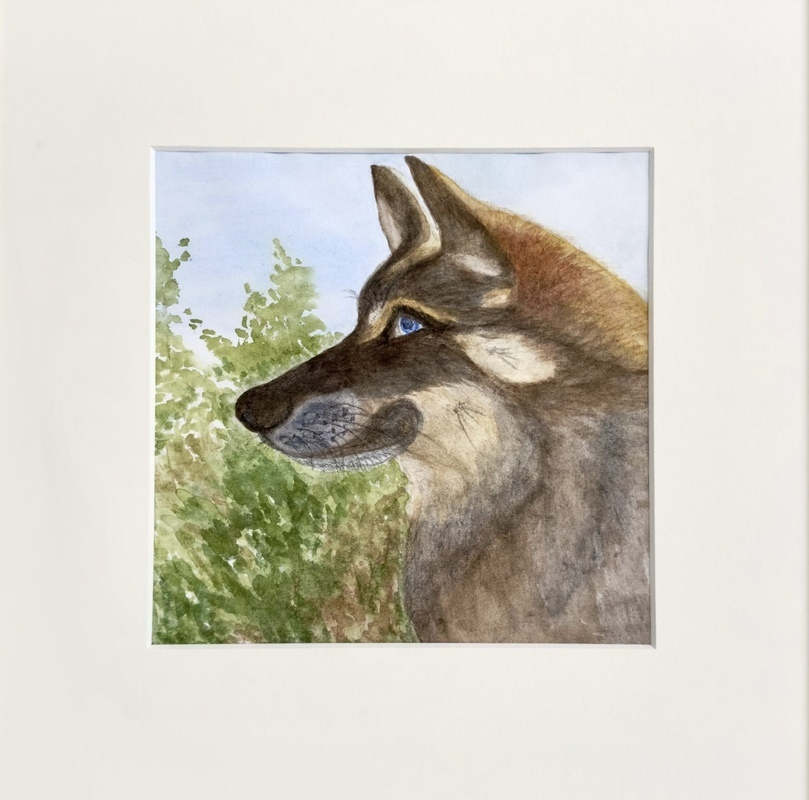 Nella, akvarelli, 20 x 20 cm