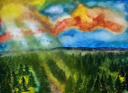Vesiväri