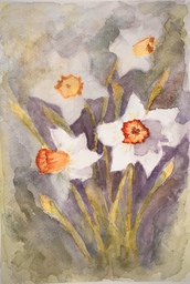 Kevätnarsissit, akvarelli, 21 x 30 cm