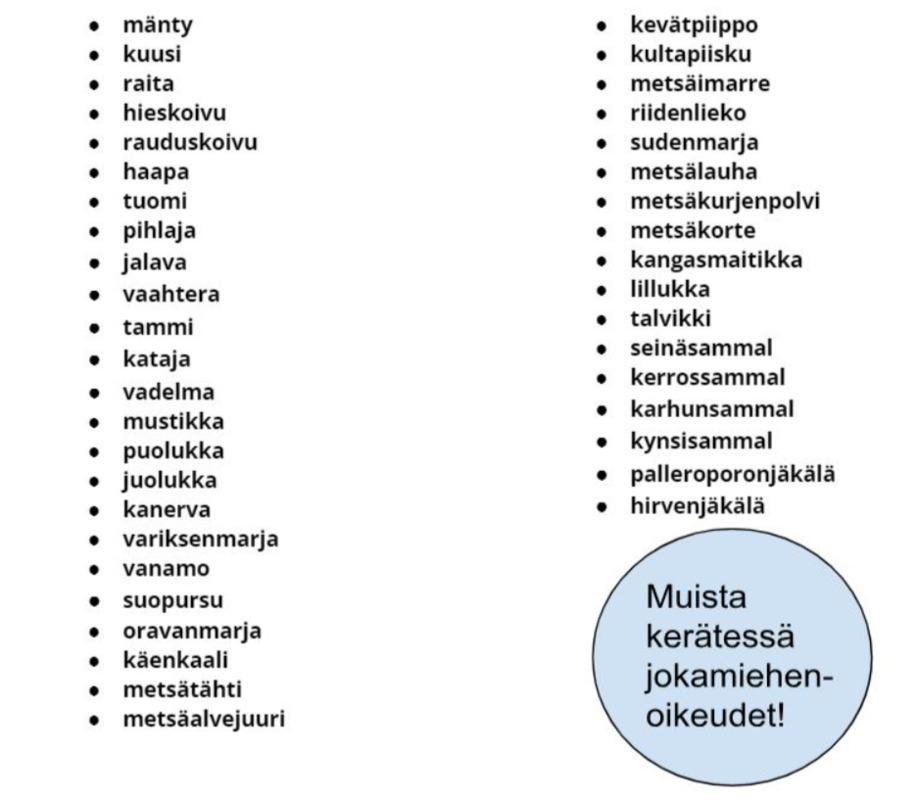Kerättävät lajit.png